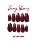 Cherry Blooms