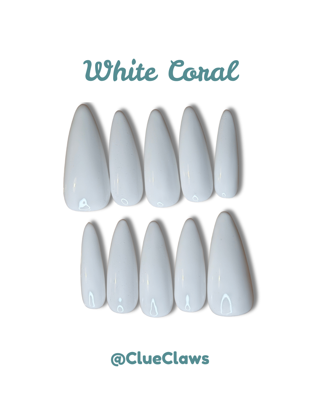 White Coral